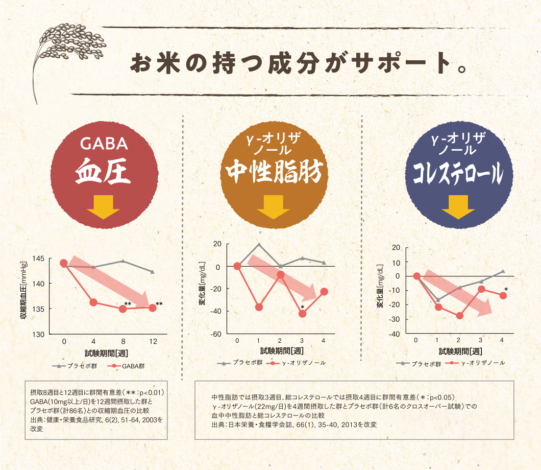 お米の持つ成分がサポート