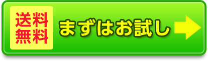 送料無料　まずはお試し