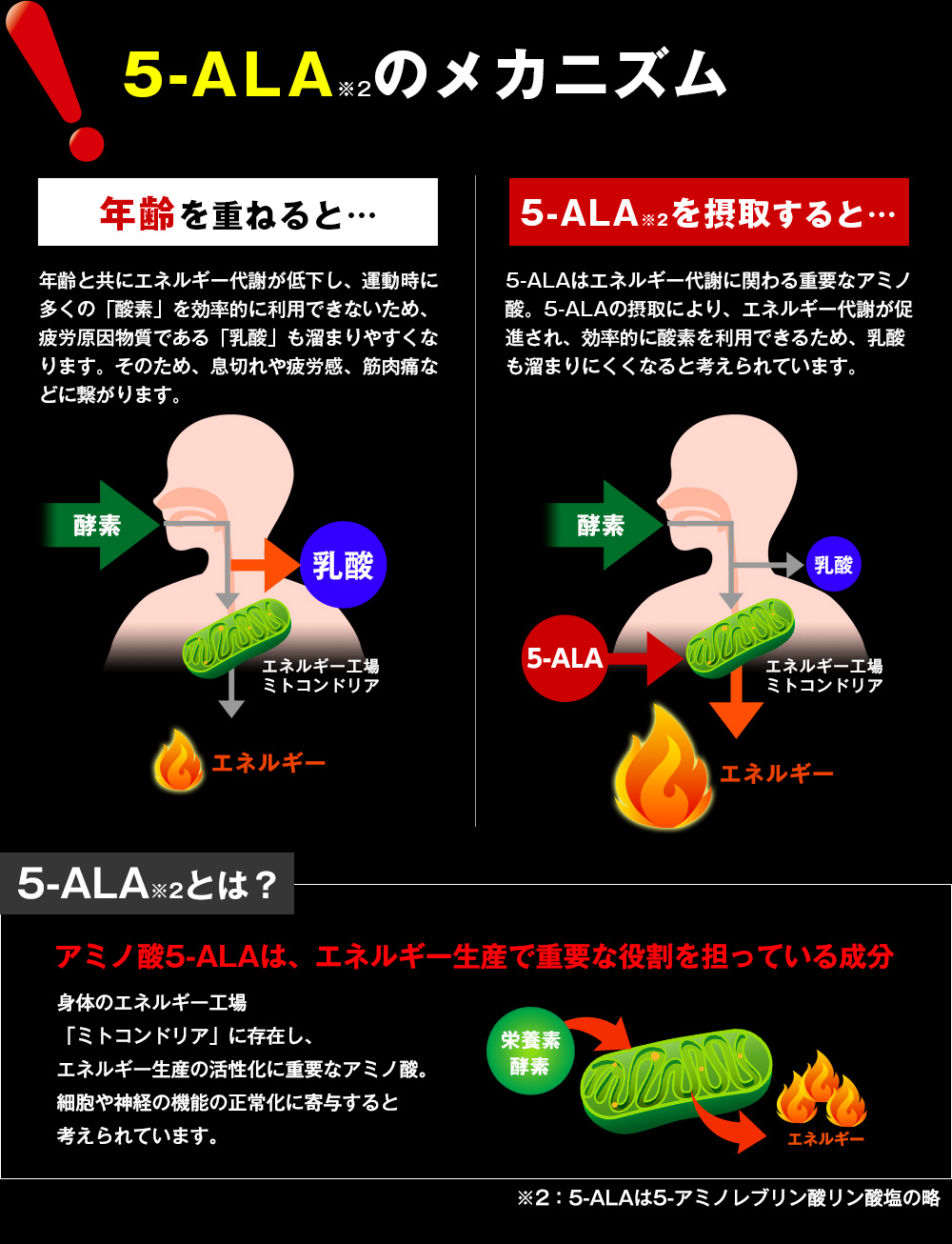 ALAのメカニズム