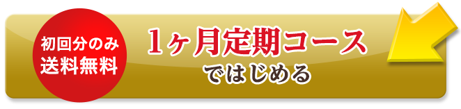 1ヶ月定期コースではじめる