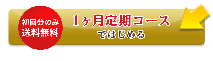 1ヶ月定期コースではじめる