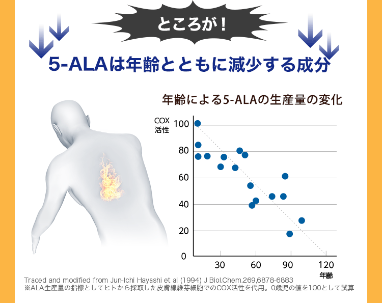 ところが！5-ALAは年齢とともに減少する成分