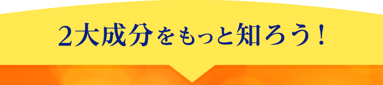 2大成分をもっと知ろう！