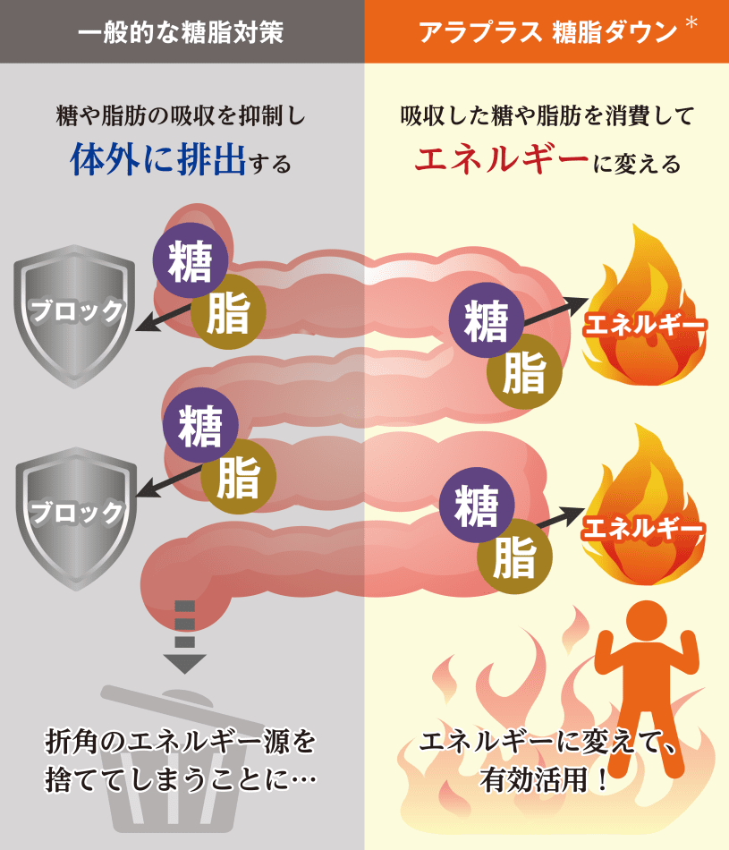 アラプラス 糖脂ダウン