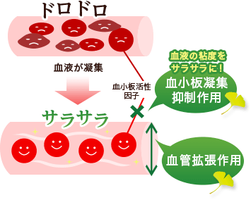 サプリメント Sbiイチョウ葉 公式 アラ オンライン Ala配合の健康 美肌 美容サプリ 化粧品の通信販売